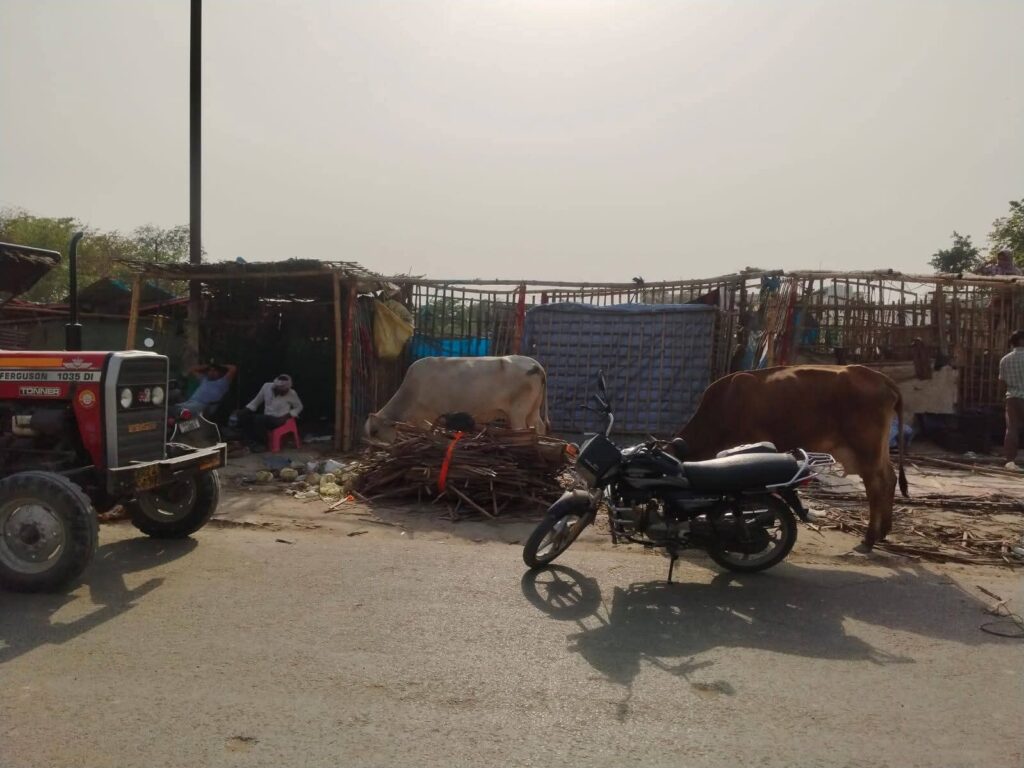 FB_IMG_1776840749533