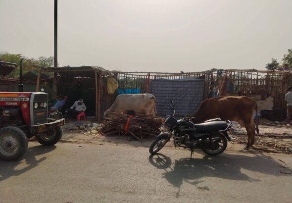 FB_IMG_1776840749533